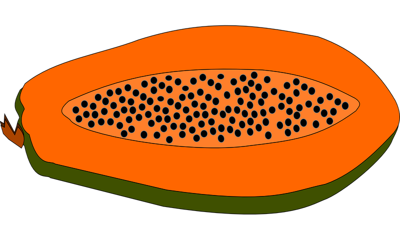 Koshary Nagwa Minya - //medicalbooks.filipinodoctors.org