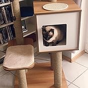 Vesper Katzenmöbel High Base Walnut - 71ysPEmz TL. CR0,200,1200,1200 UX175 Vesper Katzenmöbel High Base Walnut - 71ysPEmz TL. CR0,200,1200,1200 UX175