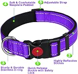 ATETEO Reflective Padded Dog Collar Medium 13-19.7 in Purple view 2