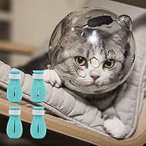 How to Prevent Over Grooming in Cats: Essential Tips