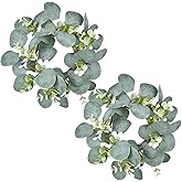 GRBAMBI Artificial Eucalyptus Leaves Wreaths - Eucalyptus Leaves Greenery Garland Farmhouse Wreath 9Inch for Kitchen Cabinet Dining Chairs Tabletop Decor (2)
