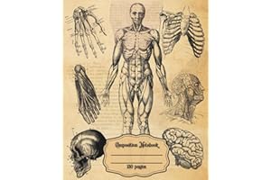 Composition Notebook College Ruled Human Anatomy Vintage Medical Illustration: A Thoughtful Gift for Future Doctors, Nurses, 