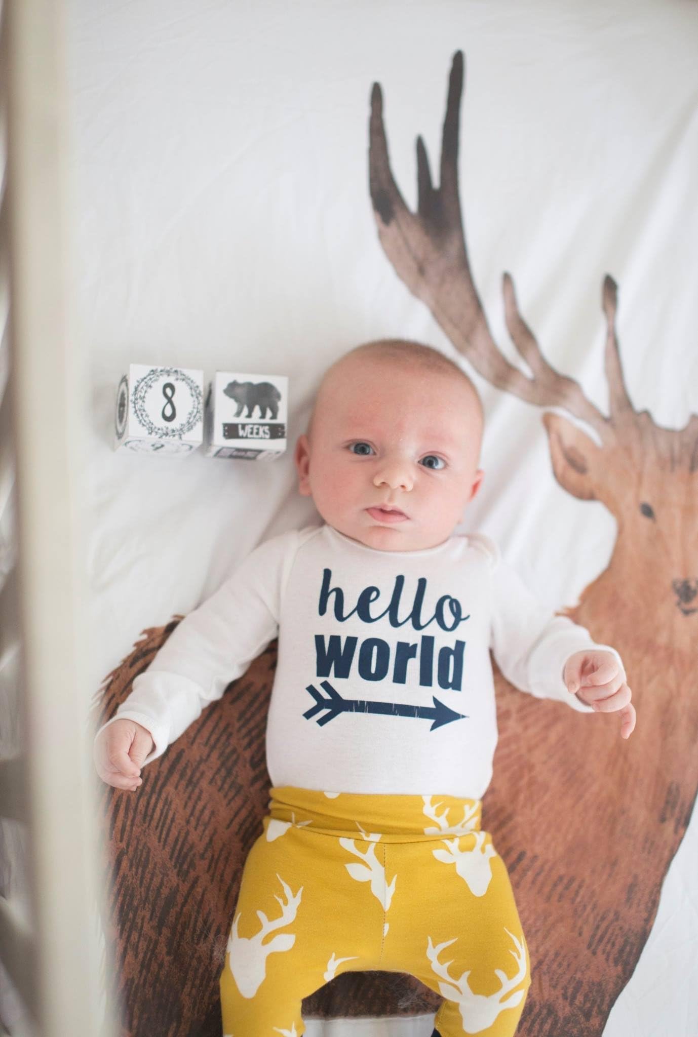 Woodland Monochrome Baby Milestone Wooden Blocks - Baby Shower Gift - Newborn Keepsake