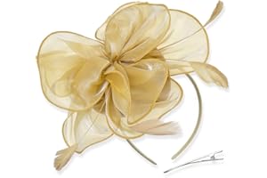 DRESHOW Fascinators Hat Tea Party Headwear Ribbons Feathers on a Headband and a Clip for Women