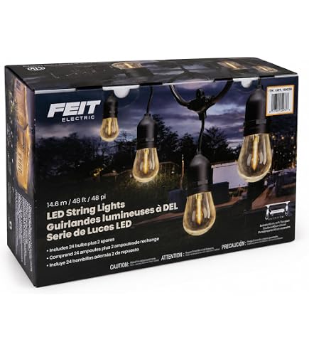 Amazon.com: Feit Electric 48 ft. LED String Lights