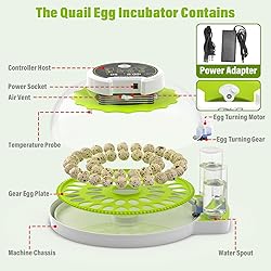 Quail Egg Incubator for Hatching 40 Quail Eggs with