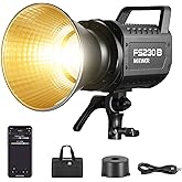 NEEWER FS230B LED Video Light 2.4G/APP Control, 230W Bi Color COB Silent Photography Continuous Output Lighting with 4 PWM Di