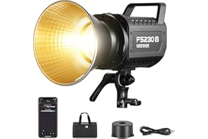 NEEWER FS230B LED Video Light 2.4G/APP Control, 230W Bi Color COB Silent Photography Continuous Output Lighting with 4 PWM Di