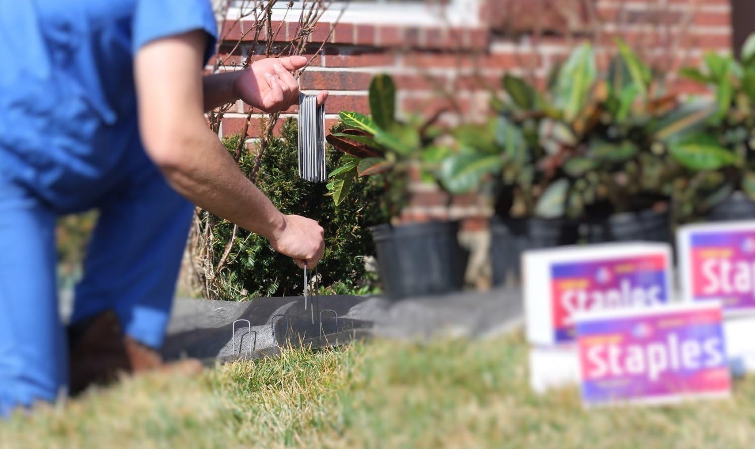 Ashman Garden Landscape Staples Stakes Pins SOD Staples for Weed Barrier Fabric, Ground Cover, Garden Hose, Lawn Drippers, Drip Irrigation Tubing, 200 Count Heavy Duty & Anti Rust : Garden & Outdoor