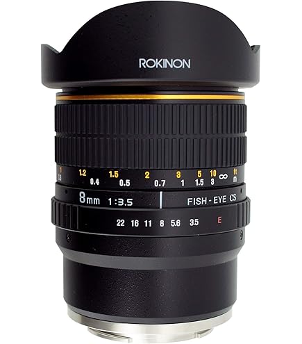 Amazon.com : Tokina ATXAF107DXN 10-17mm f/3.5-4.5 AF DX