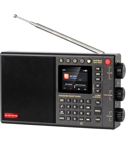 Amazon.com: CHOYONG LC90 Smart Internet Radio, AM/FM