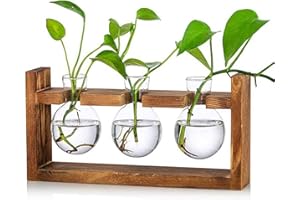 Kingbuy Plant Propagation Station Glass Terrarium Planter Flower Vase with Retro Solid Wooden Stand for Home Kitchen Indoor Garden Wedding Desktop Decor, 3 Bulb Vase