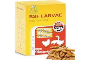 GOLDWORMS 11LB Dried Black Solider Fly Larvae, BSFL is High Protein Chicken Feed with 85x More Calcium Than Dried Mealworms, Poultry Treats, Chickens Love, Birds Love, Hens Love, Ducks Love