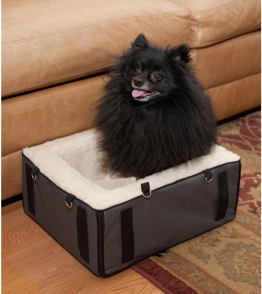 Pet Gear Lookout Booster Car Seat, Removable Comfort Pillow, Safety Tether Included, Installs in Seconds, No Tools Required, 2 Sizes, 3 Colors : Pet Care Products : Pet Supplies