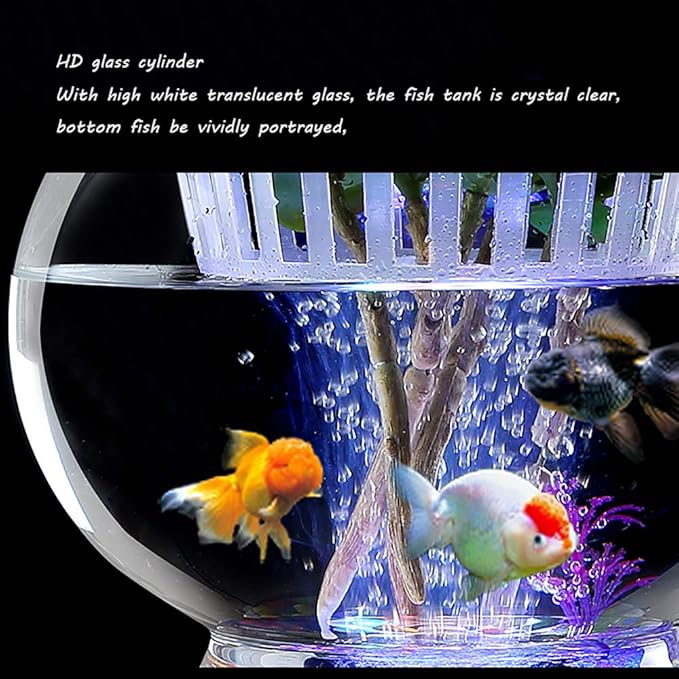 goldfish starter kit with filter