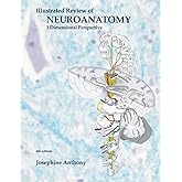 Illustrated Review of Neuroanatomy: 3 Dimensional Perspective