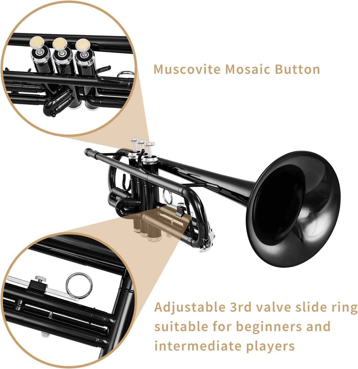 Eastar Standard Bb Black Trumpet Set for Student Beginner Brass Instrument with Hard Case, Gloves, 7 C Mouthpiece, Valve Oil and Trumpet Cleaning Kit, ETR-380B (Black): Musical Instruments