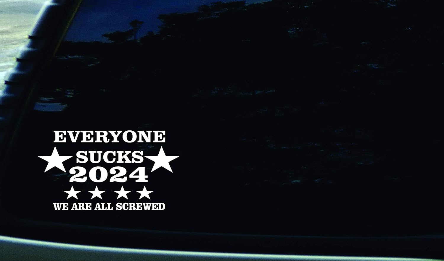7" X 4" Everyone Sucks 2024 We are All Screwed Funny Vinyl