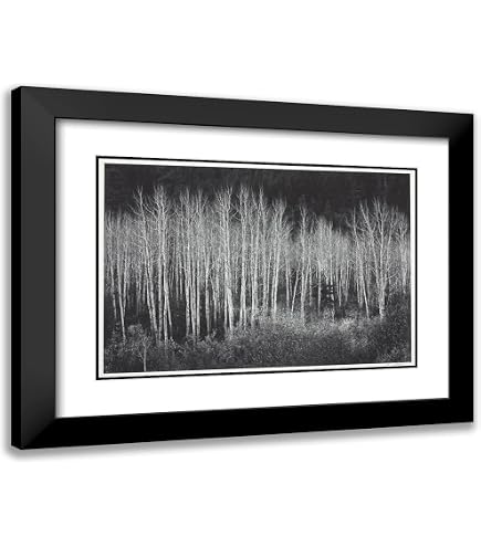 Amazon.com: ArtDirect Ansel Adams 23x20 Black Modern Framed Art