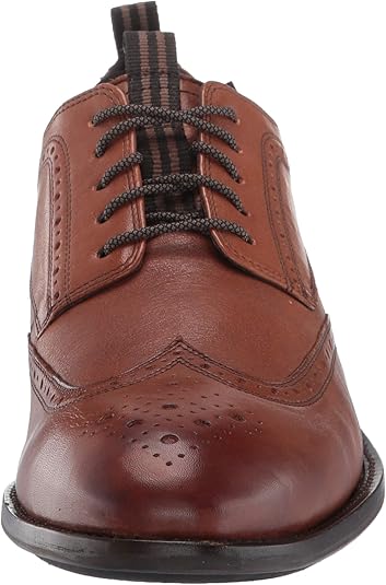 holland long wing oxford