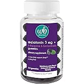 Wellness Basics Melatonin Gummy for Restful Sleep | 3mg per Serving | Natural Sleep Support | BlackBerry Mint Flavor | L-Theanine & Botanicals | 50 Count