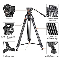 Cayer BF30L Video Tripod with Fluid Head, 73" Heavy