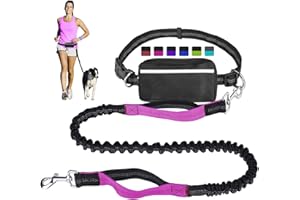 Hands Free Dog Leash for Running Walking Training Hiking, Dual-Handle Reflective Bungee, Poop Bag Dispenser Pouch, Adjustable