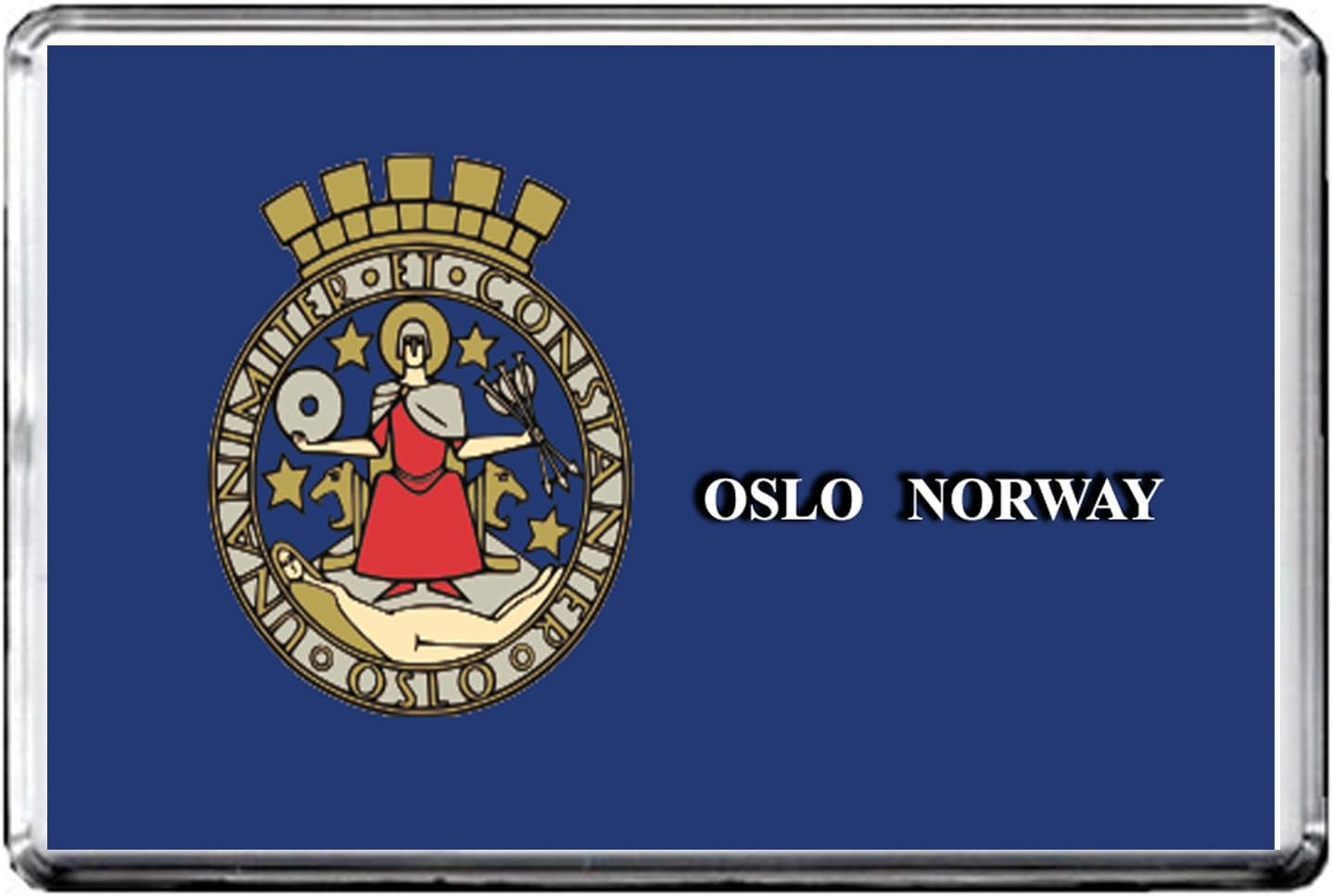 A089 OSLO FLAG FRIDGE CITY OF NORWAY REFRIGERATOR