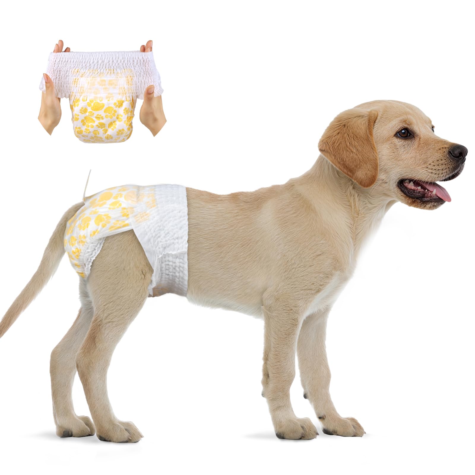 Flying Paws Dog Nappies Female, L-15 Pull-On Disposable Dog Diapers for Female Dogs - Male Nappies with Stretchy Waistband​ Fits Waist 30-50 cm Large