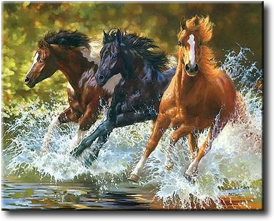 Shukqueen Paint by Number, DIY Oil Painting for Adults Beginner's, 16X20 Inch, Frameless, white, Frameless-16"x20"(40x50cm)