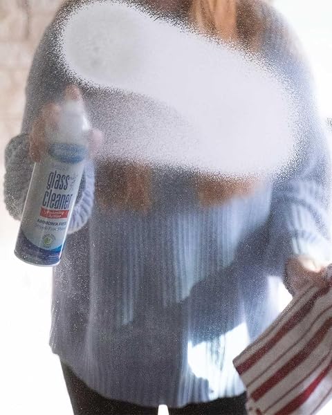 SPRAYWAY GLASS CLEANER WITH FOAMING SPRAY FOR A STREAK-FREE SHINE FOR HOME AND AUTOMOTIVE USE, 19 OZ., PACK OF 6