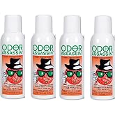 Odor Assassin Orange, Set of 4