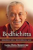 Bodhichitta: Practice for a Meaningful Life
