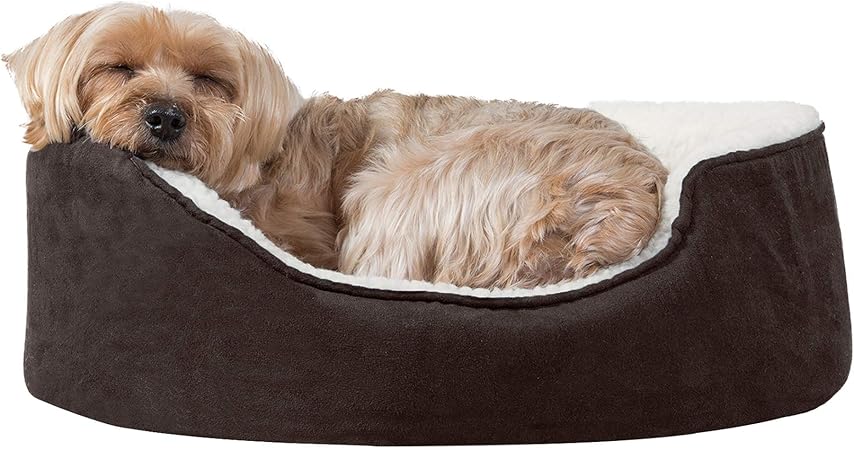 oval orthopedic dog bed