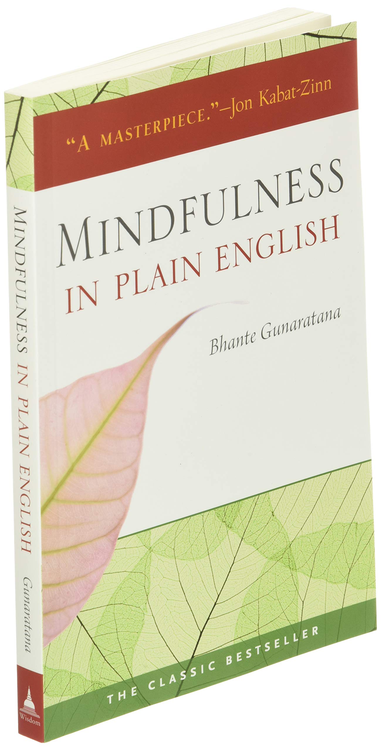 Amazon Mindfulness In Plain English Gunaratana Bhante Henepola Meditation