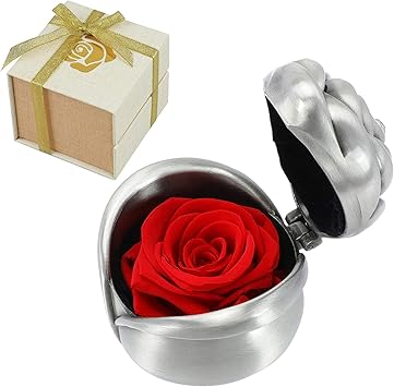 red rose gift for girlfriend