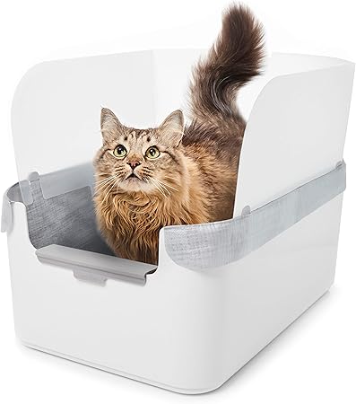 modkat open tray litter box