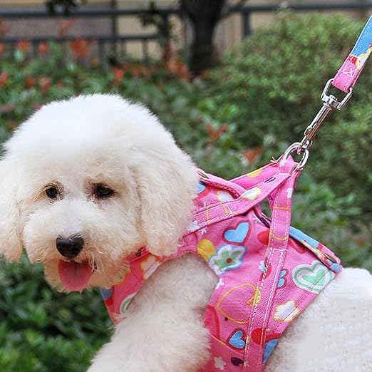 shanzhizui Cadena de perros de peluche Cuerda de perro Correa ...