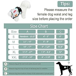 Grecle Washable Female Dog Diapers - Premium