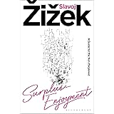 Surplus-Enjoyment: A Guide For The Non-Perplexed