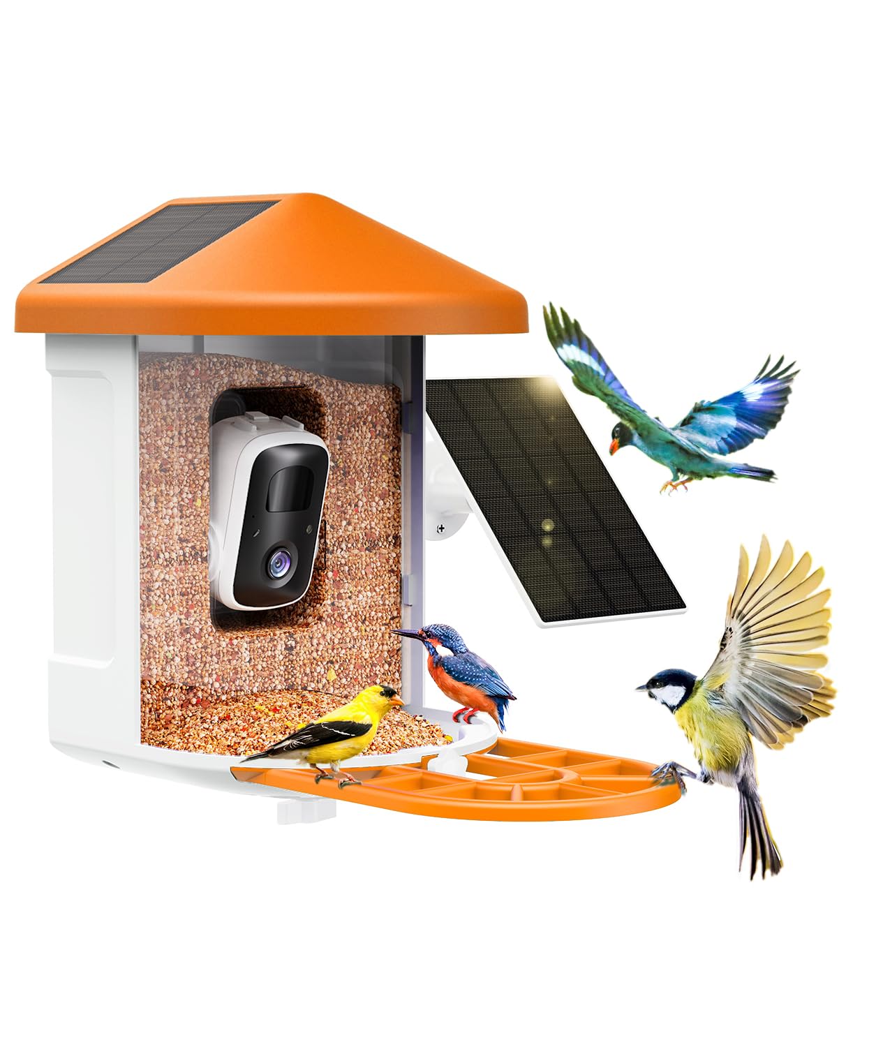 HARYMOR Bird Feeder with Camera with AI Identify Birds Species Solar Panel, Live View, Instant Arrival Alerts Image