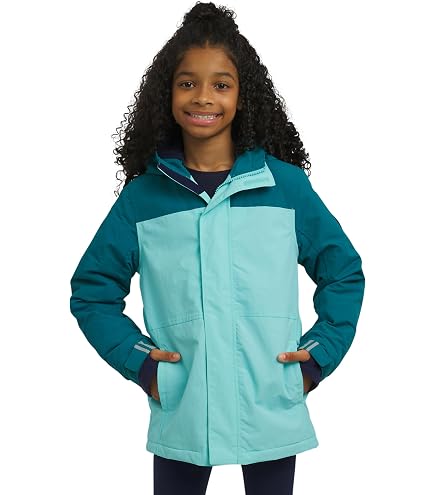 Amazon.com: Roxy American Pie Insulated Snowboard Jacket Girls