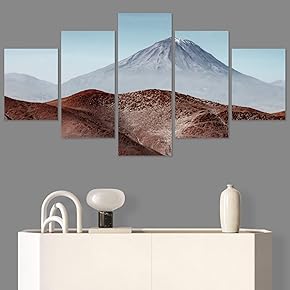 SIGNWIN 5 Panel Canvas Wall Art Modern Art...