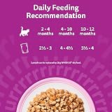 Whiskas Junior Wet Cat Food in Jelly Fish Favourites 12x85g Kitten Pack of 4 view 4