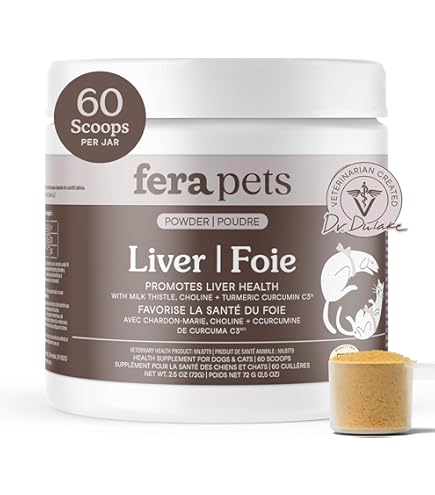 Champignon Queue De Dinde Pour Chien - Complément Pour Soutenir L'énergie Et La Vitalité De Ton Animal - 1 Pièce