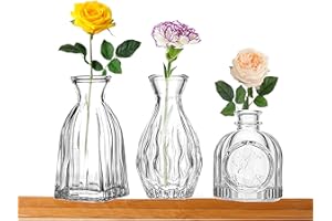 FANTESTICRYAN Glass Bud Vases Set of 3, Clear Vase for Flowers Small Glass Vase Single Flower Mini Vases Bulk for Centerpiece Wedding Table Decor, Home Decorations