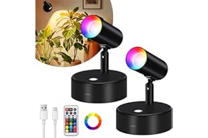 Lightess RGBW Spot Lights Indoor 5500mAh Rechargeable Uplighting with Remote, 13 Color Changing LED Wireless Spotlight Indoor, Dimmable Battery Operated Spotlight for Plant Picture Party Decor, 2 Pack
