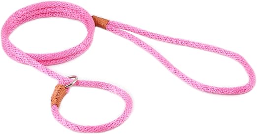 nylon slip leads for dogs