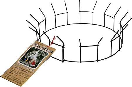 Amazon Com Arundale Ar366 Dove Guard For Skycafe Wild Bird