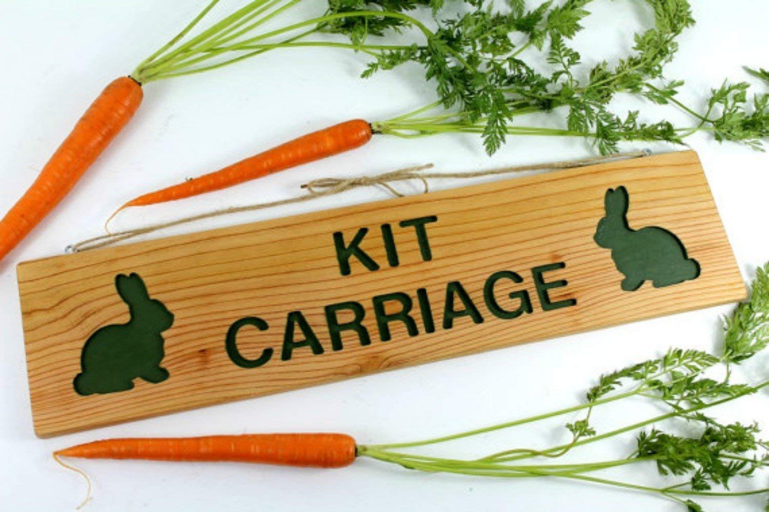 Amazon.com: Rabbit Cage Sign W/Two Cutouts, Pet Cage Cedar Wood Sign ...